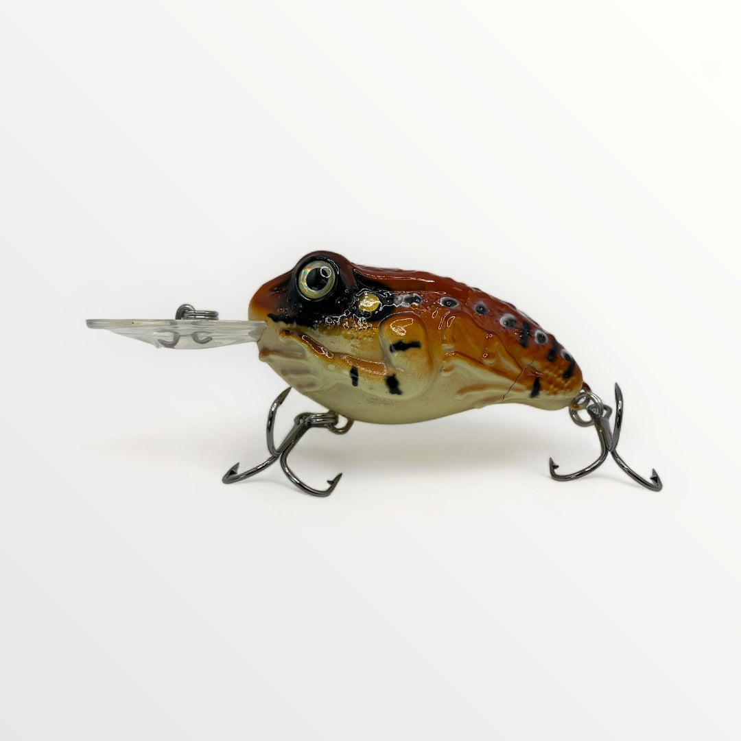 LED FROG - 3'' LED INTÉGRÉ – PROPECHE