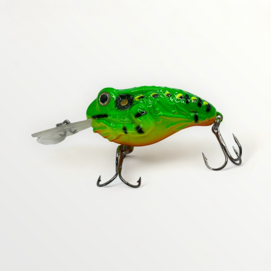 LED FROG - 3'' LED INTÉGRÉ