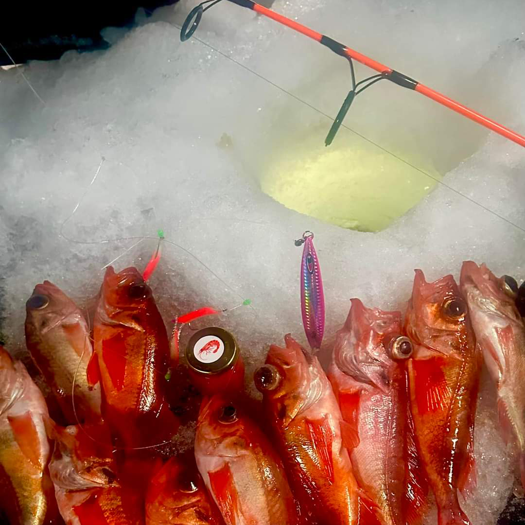 Pot de gelée aux crevettes entouré de plusieurs prises durant la pêche sur glace.